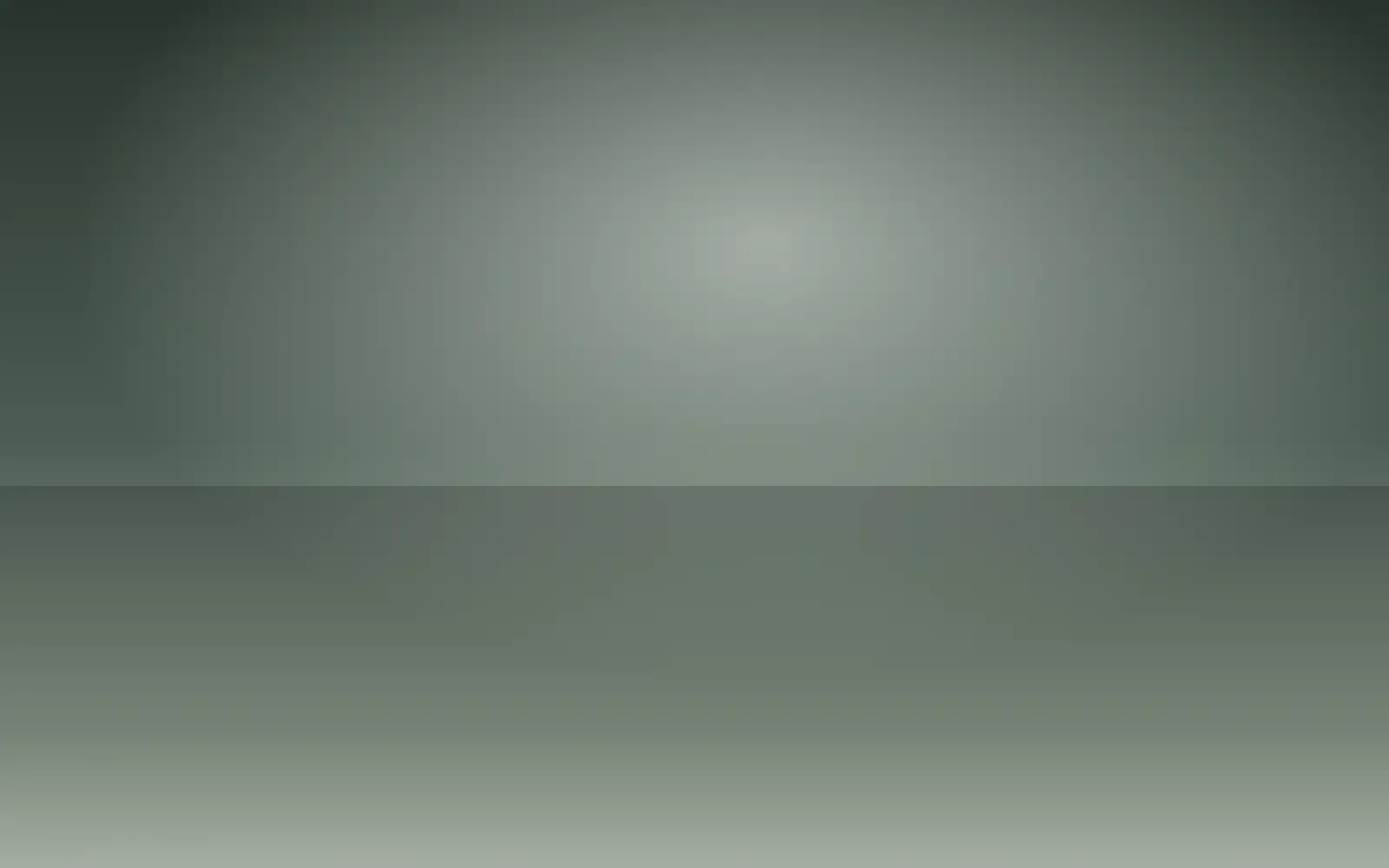 Pale mist settling through a quiet forest