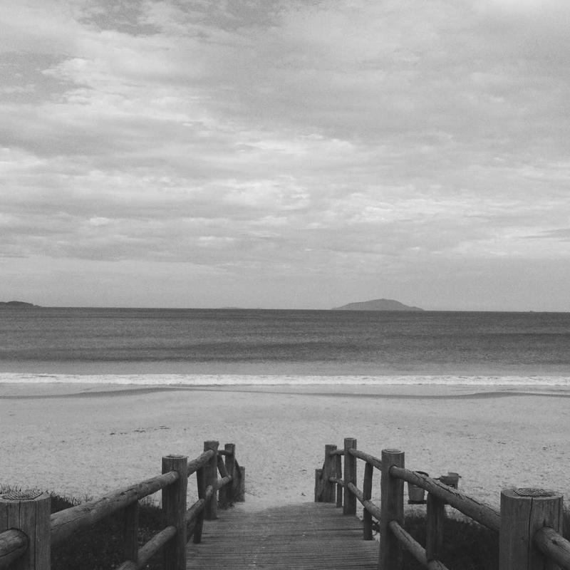 Monochrome